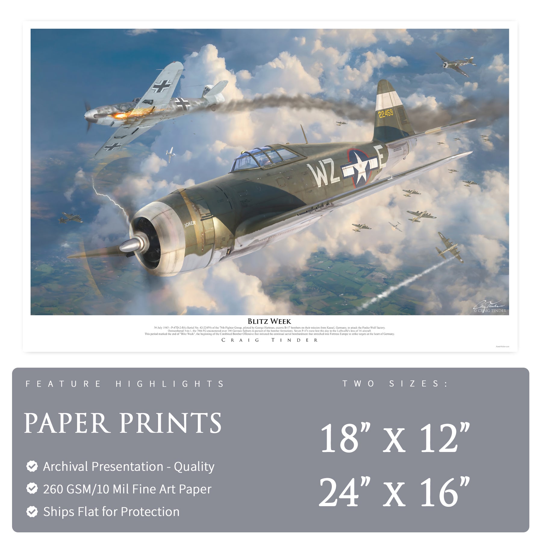 P-47 Thunderbolt - Blitz Week Canvas | INCLUDES: Airframe Relic