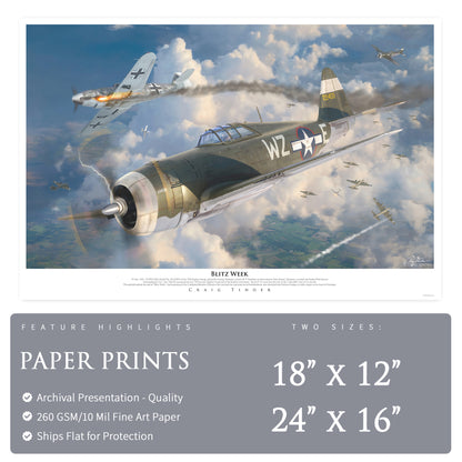 P-47 Thunderbolt - Blitz Week Canvas | INCLUDES: Airframe Relic