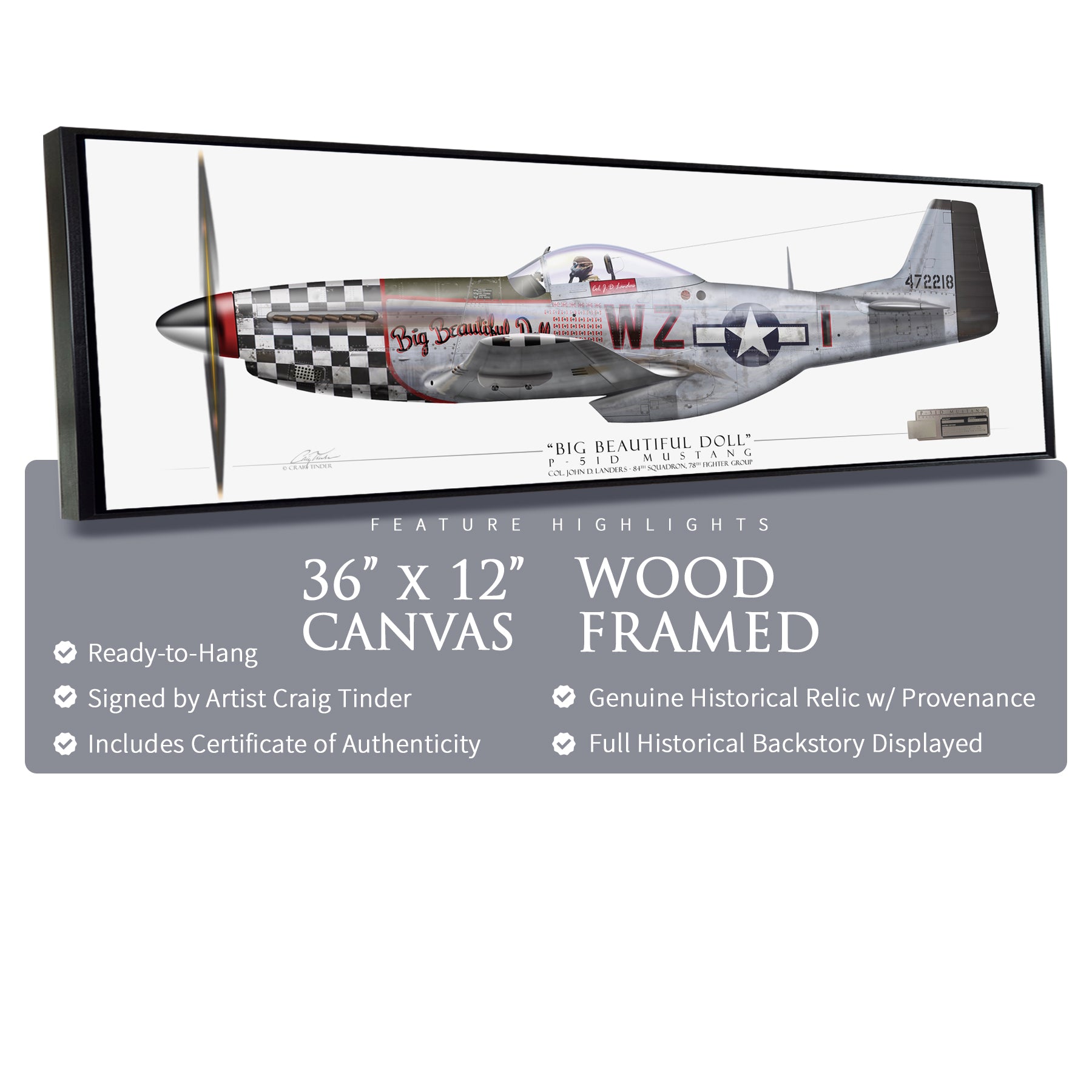 P-51 Mustang - Big Beautiful Doll Framed Canvas | INCLUDES: Fuselage Panel Relic