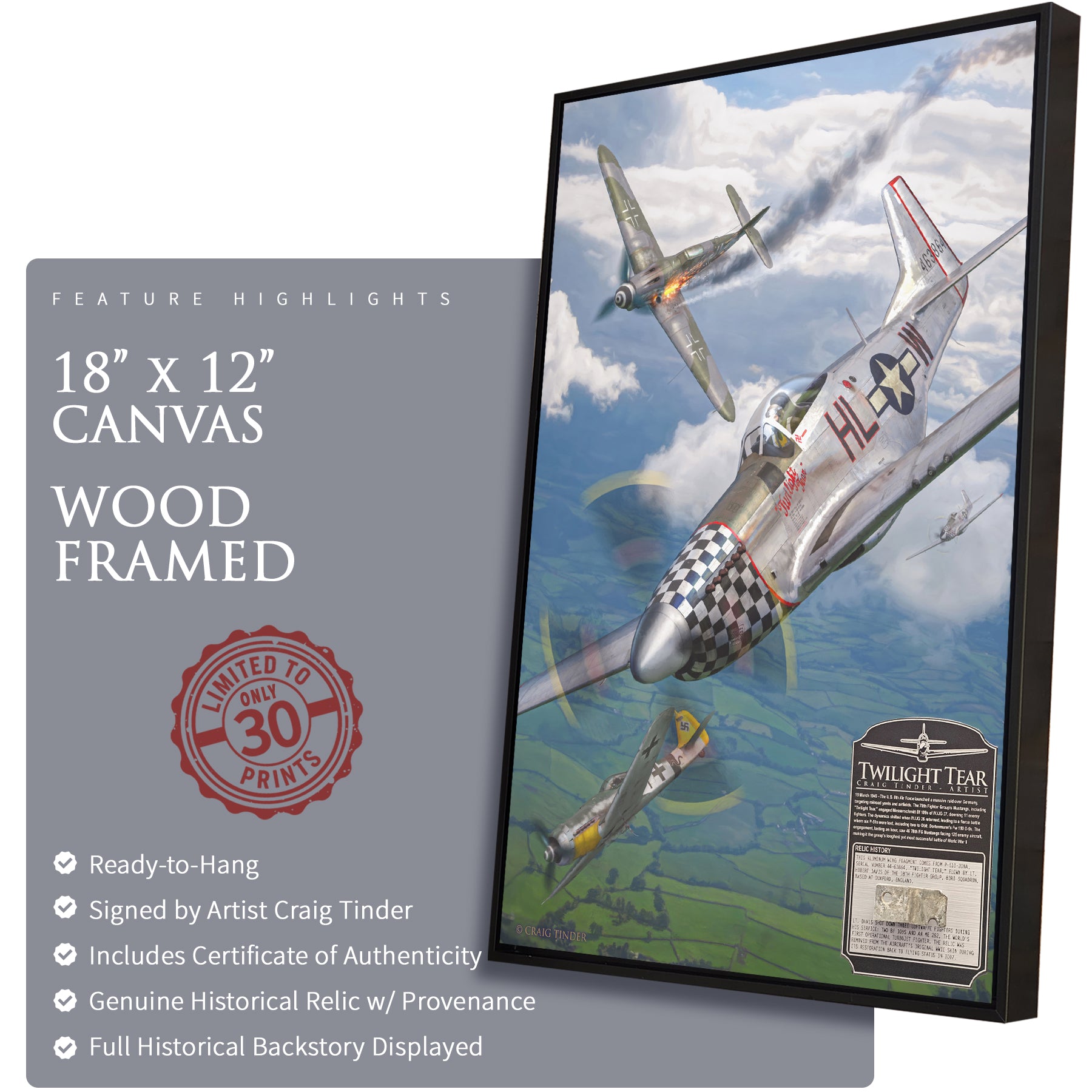 P-51 Mustang - Twilight Tear Canvas | INCLUDES: Wing Fragment