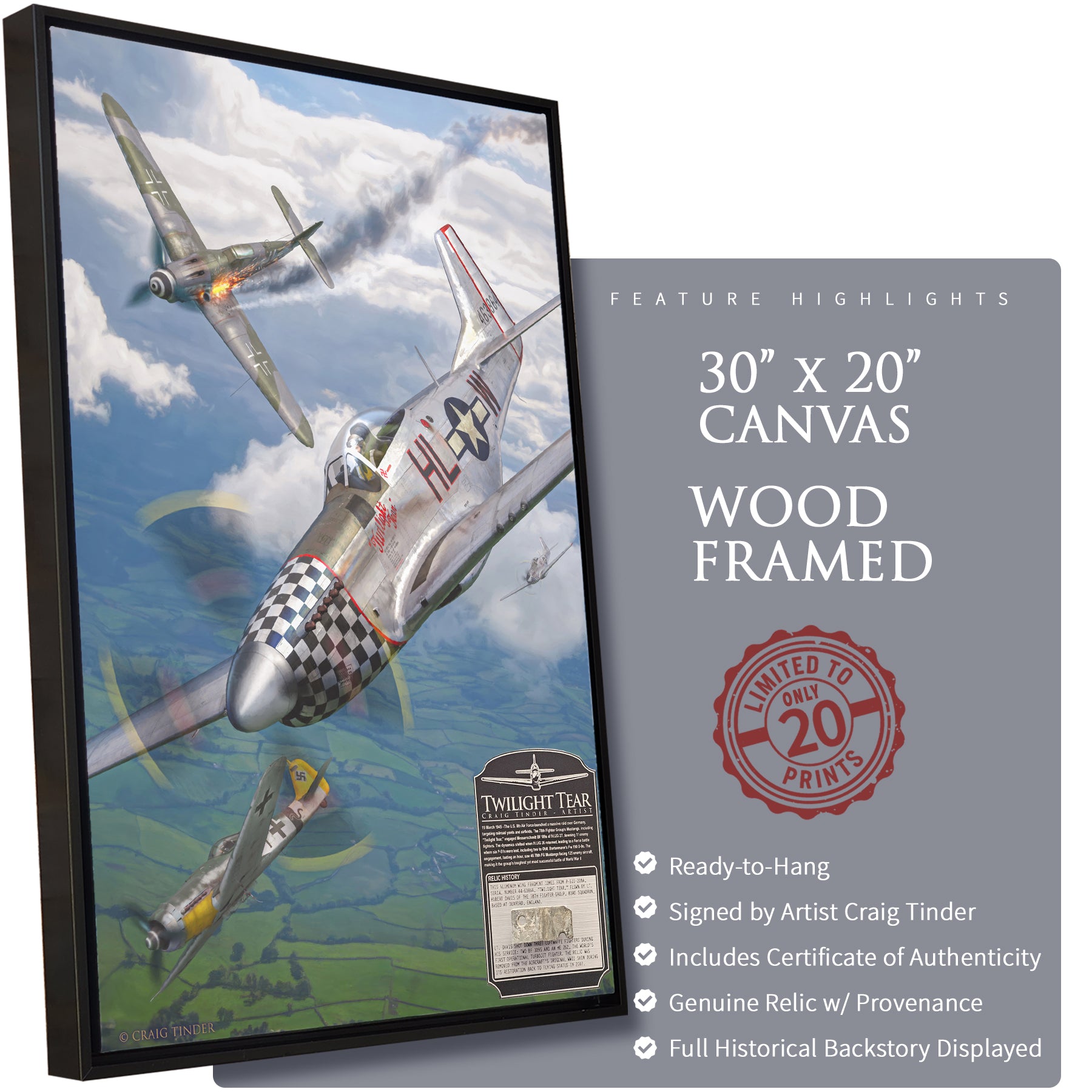 P-51 Mustang - Twilight Tear Canvas | INCLUDES: Wing Fragment