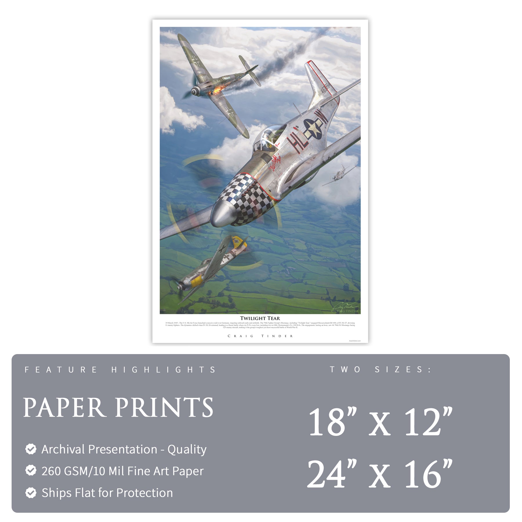 P-51 Mustang - Twilight Tear Canvas | INCLUDES: Wing Fragment