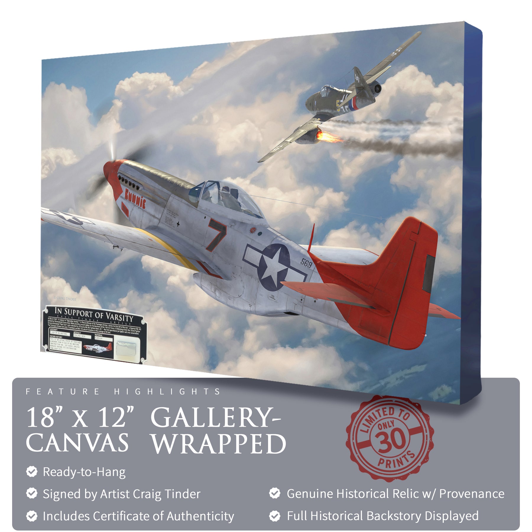 P-51 Mustang - Tuskegee Airmen Red Tails In Support of Varsity Canvas | INCLUDES: Skin Relic