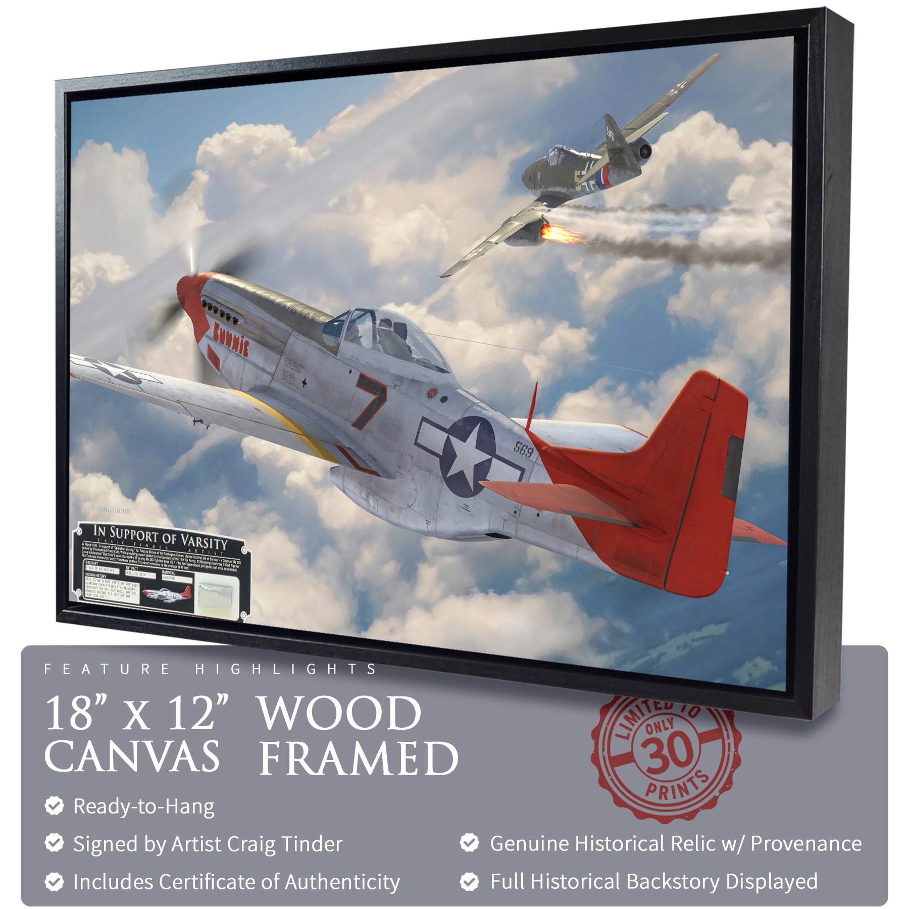 P-51 Mustang - Tuskegee Airmen Red Tails In Support of Varsity Canvas | INCLUDES: Skin Relic