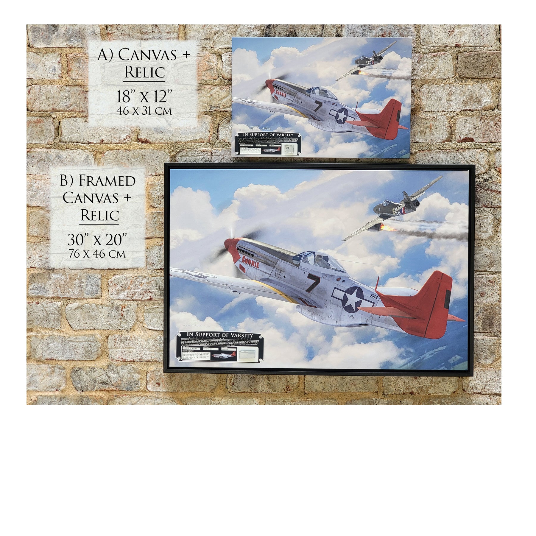 P-51 Mustang - Tuskegee Airmen Red Tails In Support of Varsity Canvas | INCLUDES: Skin Relic