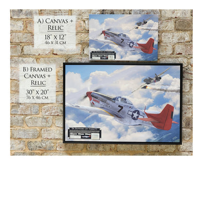 P-51 Mustang - Tuskegee Airmen Red Tails In Support of Varsity Canvas | INCLUDES: Skin Relic