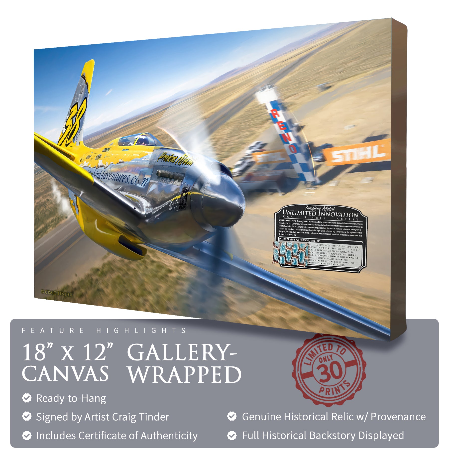 P-51 Mustang - #38 Precious Metal Canvas | INCLUDES: Fuselage Fragment