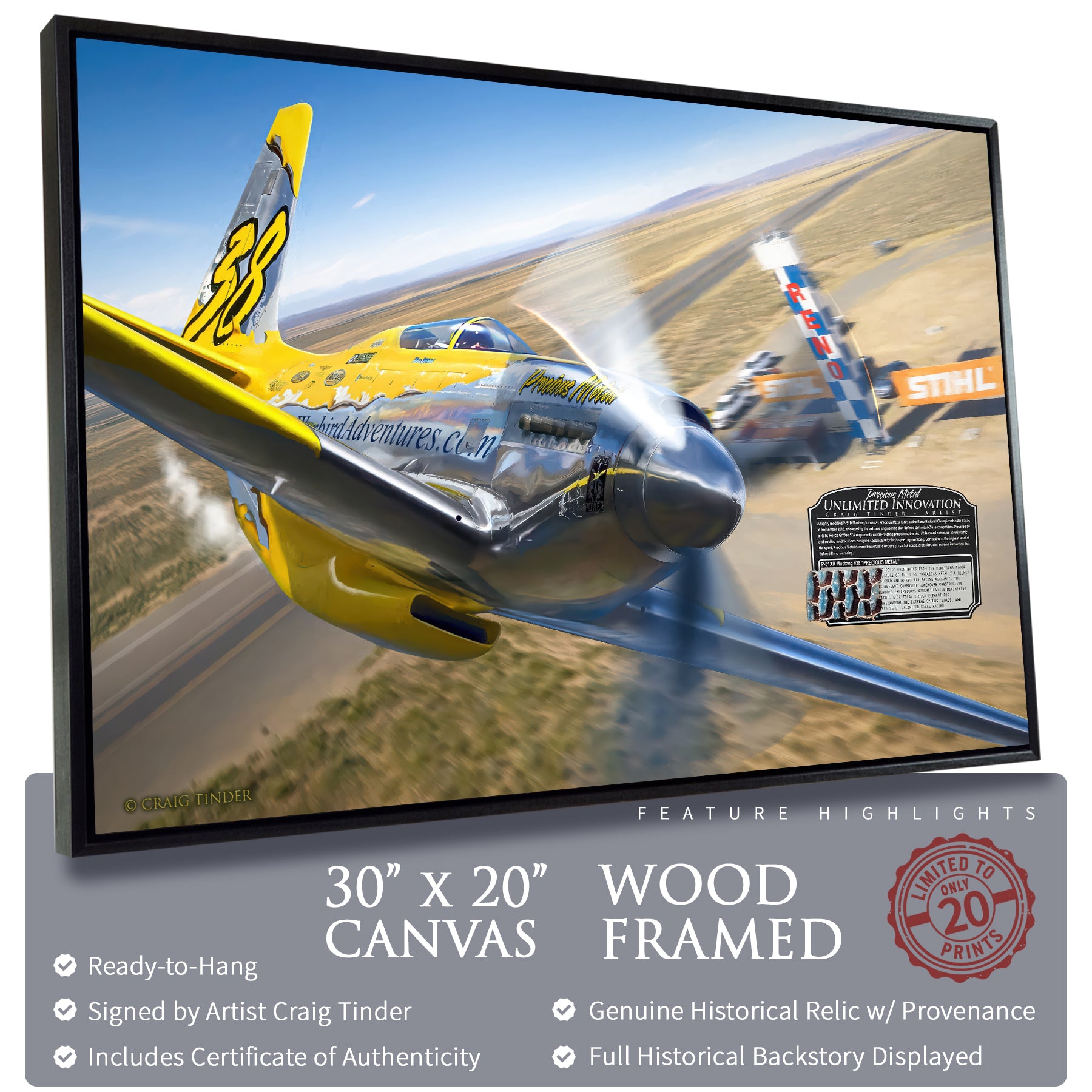 P-51 Mustang - #38 Precious Metal Canvas | INCLUDES: Fuselage Fragment