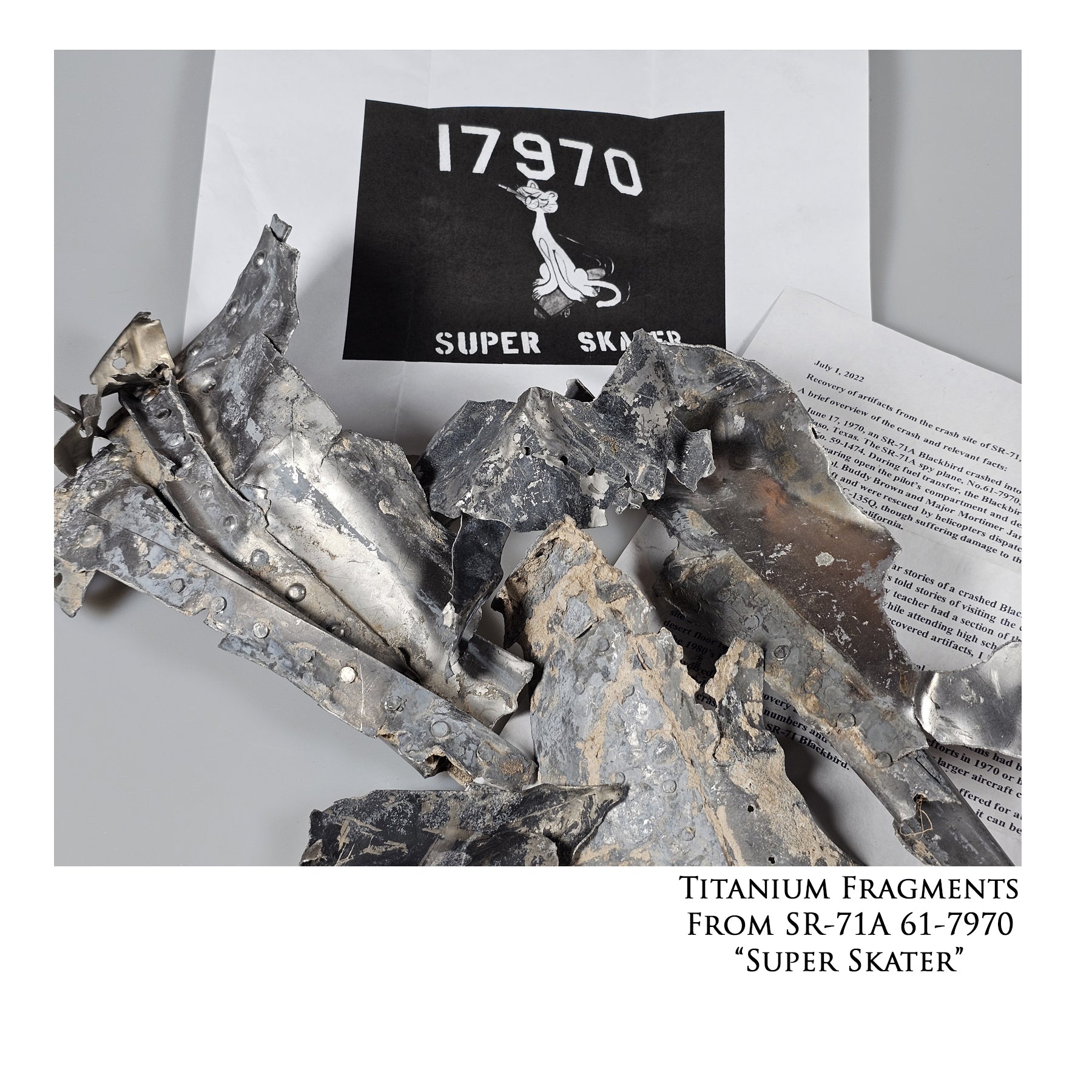 SR-71 Blackbird - Super Skater Canvas | INCLUDES: Titanium SR-71 Relic