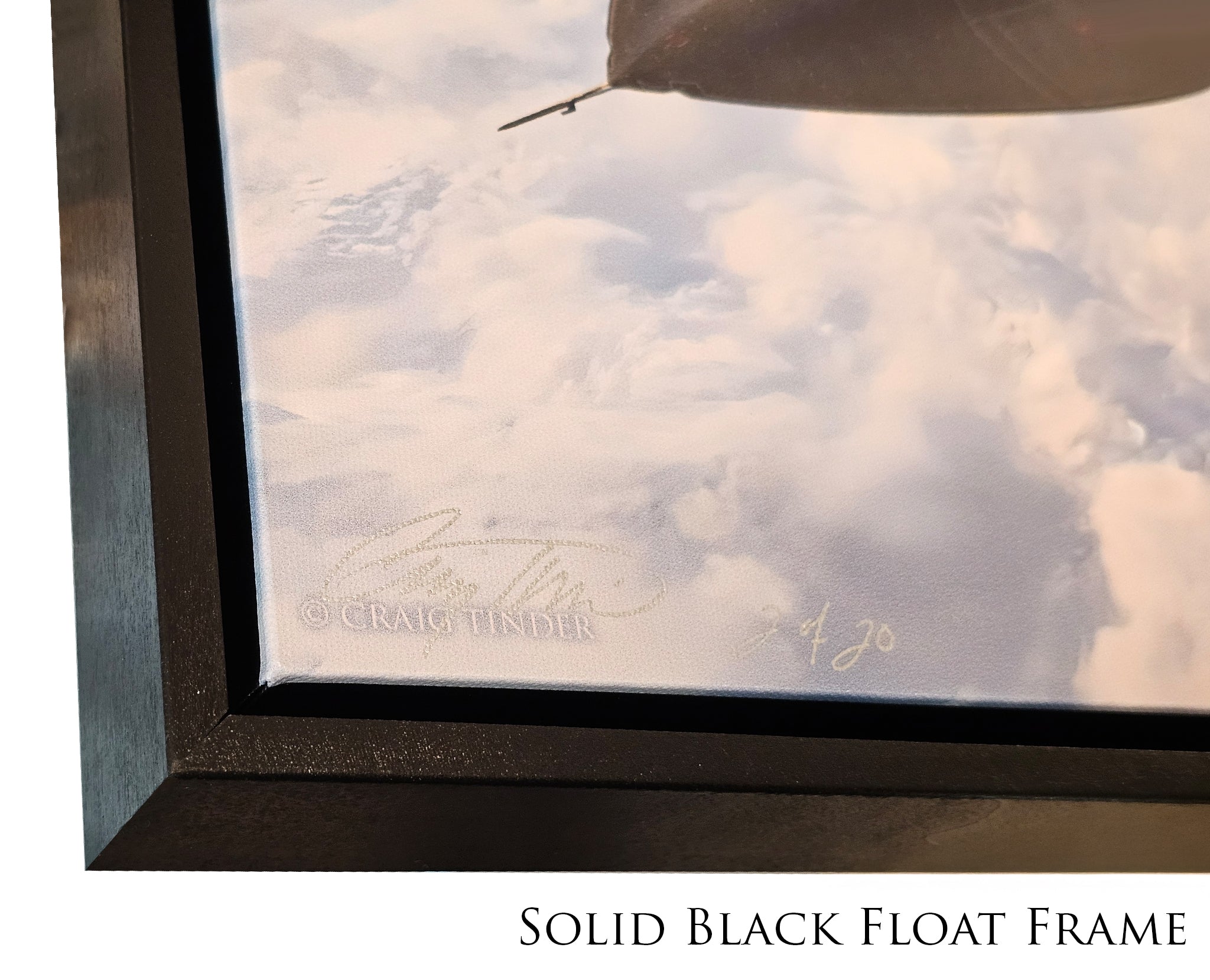 Super Skater - SR-71A Blackbird Canvas | INCLUDES: Titanium SR-71 Relic
