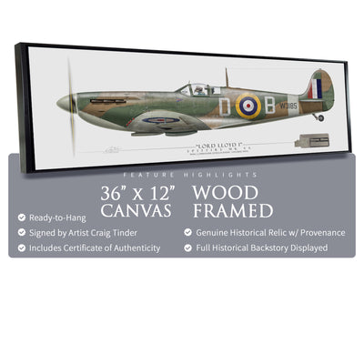 Spitfire - Douglas Bader historical relic artwork by Craig Tinder