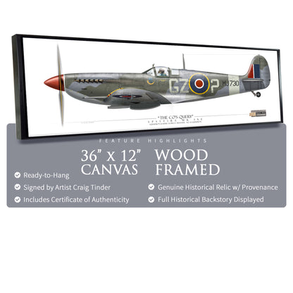 Spitfire Mk IXe - The CO's Query - Framed Canvas | INCLUDES: Wood Propeller Relic