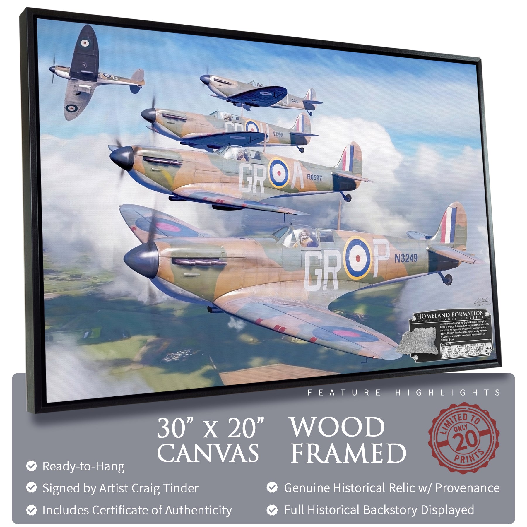Spitfire - Homeland Formation Canvas | INCLUDES: Wing Panel Relic