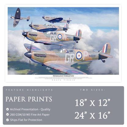 Spitfire - Homeland Formation Canvas | INCLUDES: Wing Panel Relic