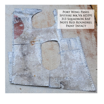 Spitfire - Homeland Formation Canvas | INCLUDES: Wing Panel Relic