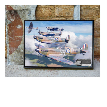 Spitfire - Homeland Formation Canvas | INCLUDES: Wing Panel Relic