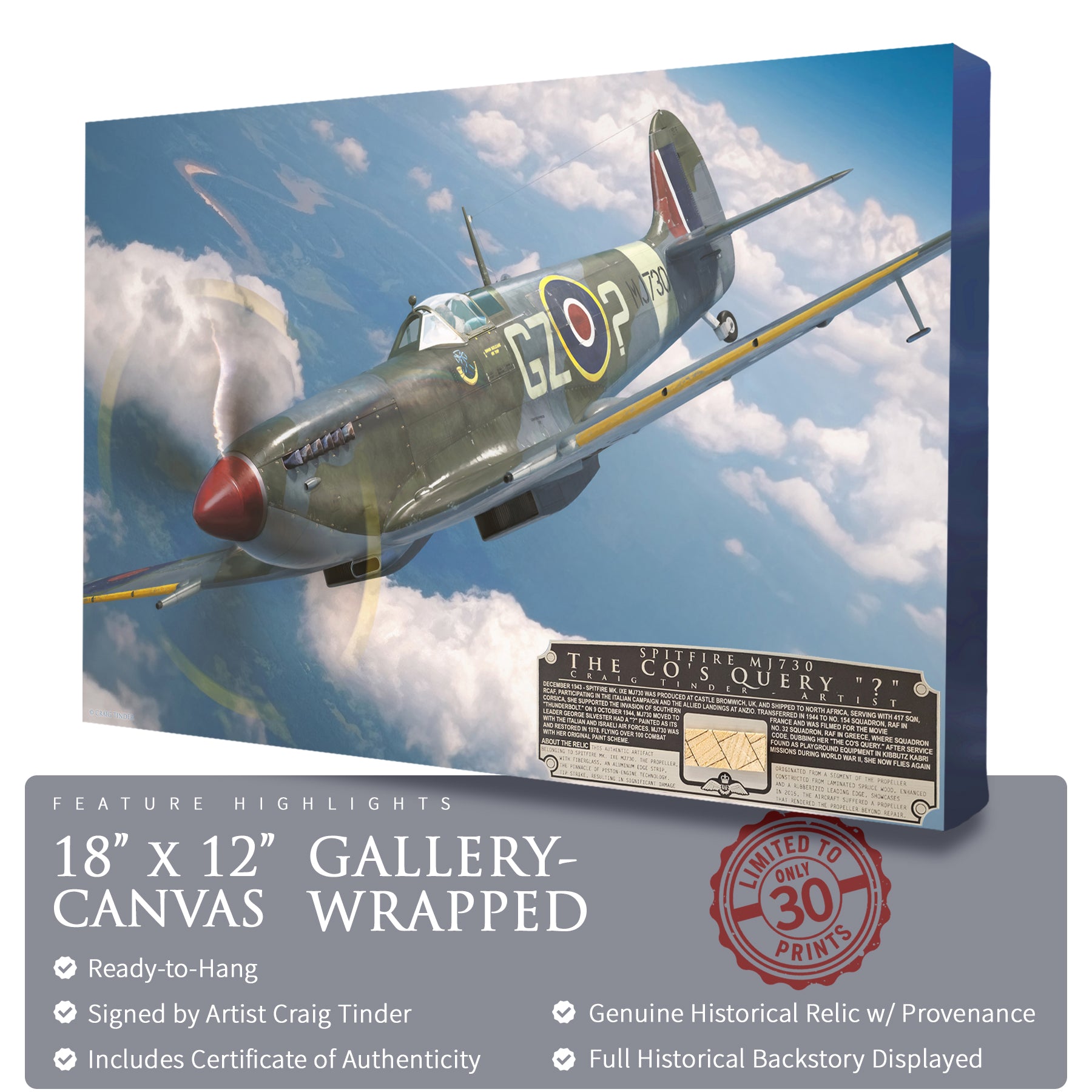 Spitfire Mk IX - The CO's Query Canvas | INCLUDES: Propeller Piece
