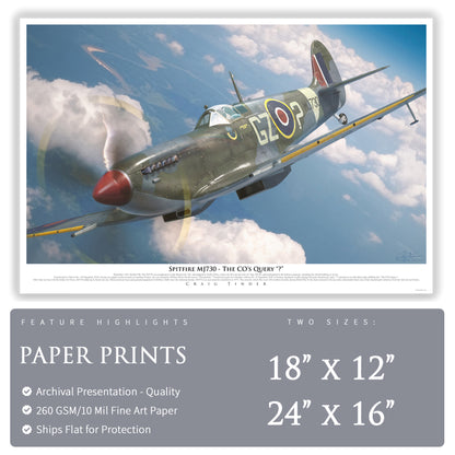 Spitfire Mk IX - The CO's Query Canvas | INCLUDES: Propeller Piece