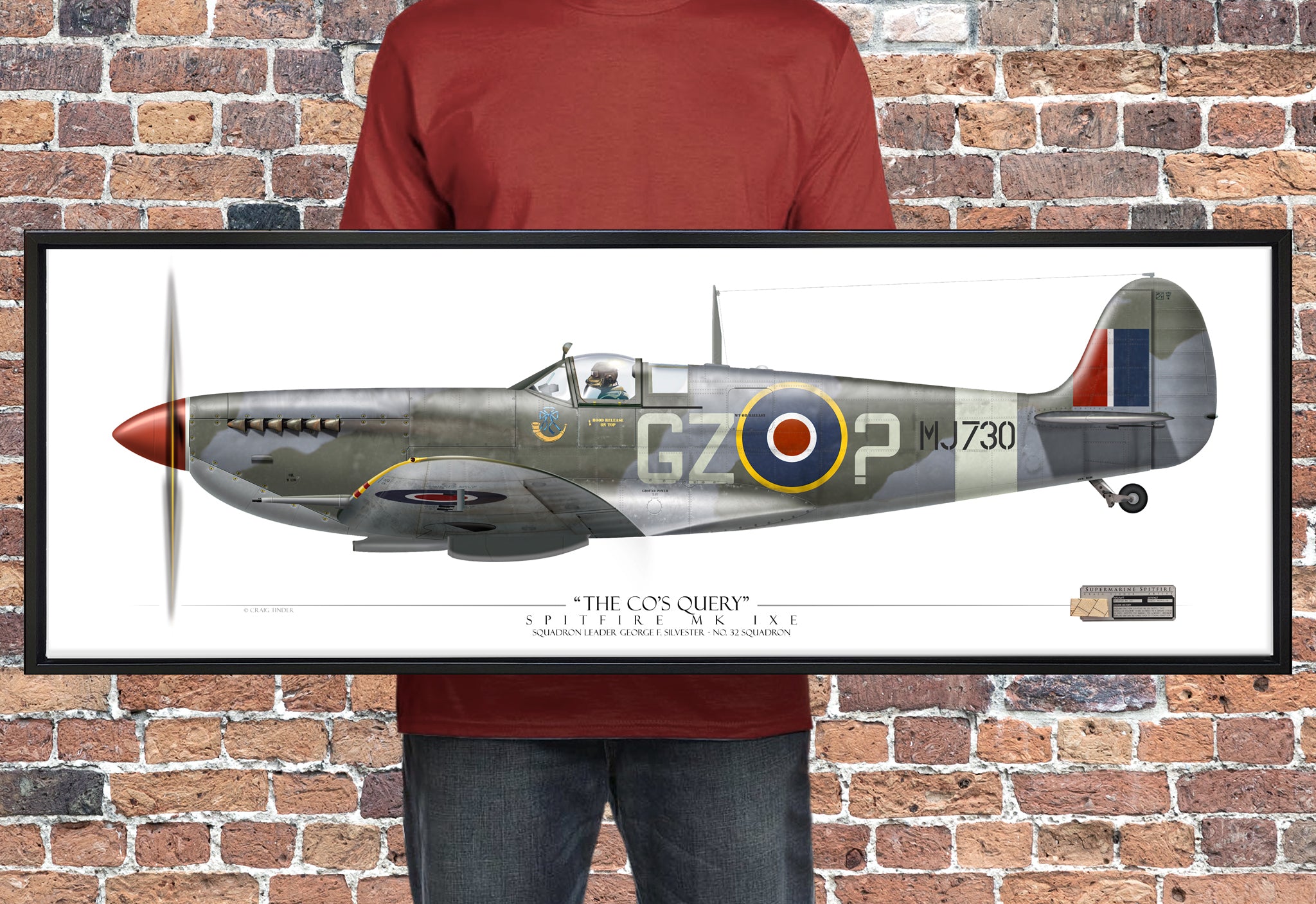 Spitfire Mk IXe - The CO's Query - Profile Canvas | INCLUDES: Propeller Piece