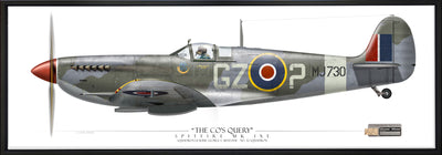 Spitfire Mk IXe - The CO's Query - Framed Aviation Art Print - Profile