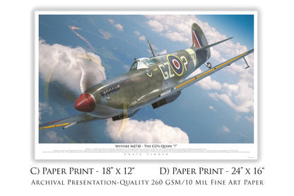 The CO's Query - Spitfire Mk IX Canvas | INCLUDES: Propeller Piece