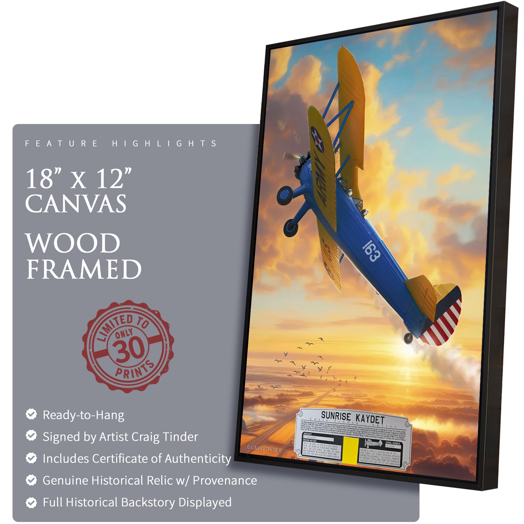 Stearman PT-13 - Sunrise Kaydet Canvas | INCLUDES: Aircraft Skin Fragment