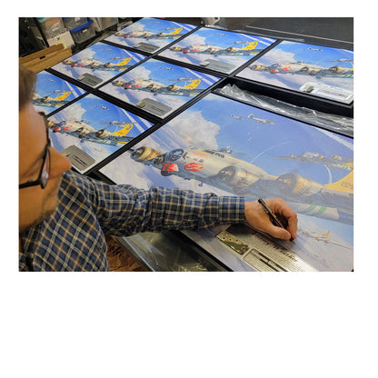 B-17 Flying Fortress - Stormy Weather Canvas | INCLUDES: Wing Skin Fragment