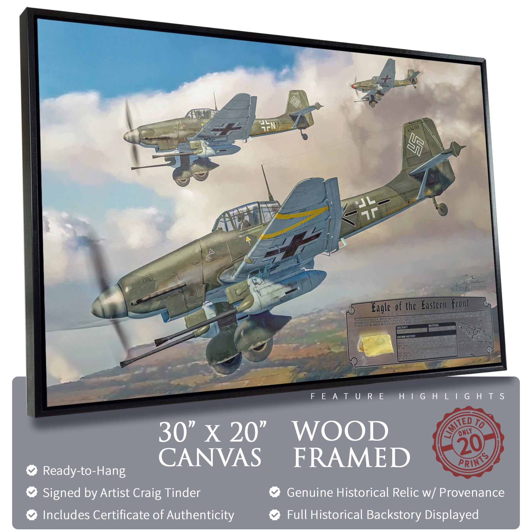 Ju 87 Stuka - Eagle of the Eastern Front Canvas | INCLUDES: Wing Relic