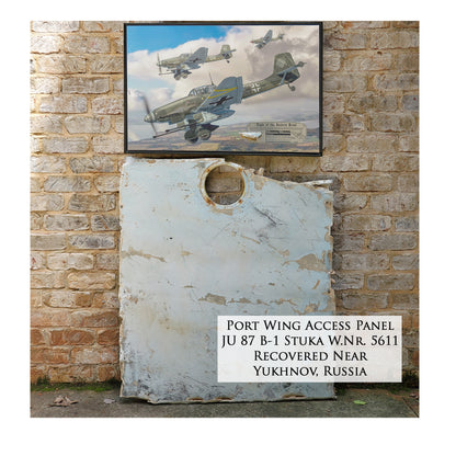 Ju 87 Stuka - Eagle of the Eastern Front Canvas | INCLUDES: Wing Relic