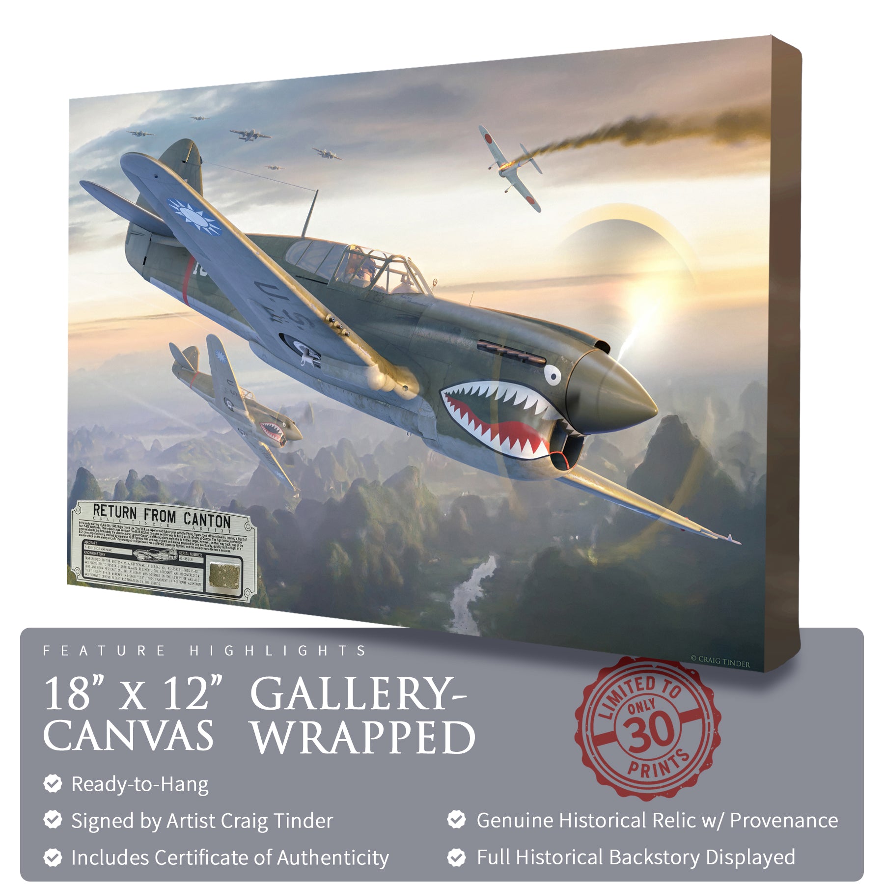 P-40 Warhawk - Return from Canton Canvas | INCLUDES: Skin Fragment
