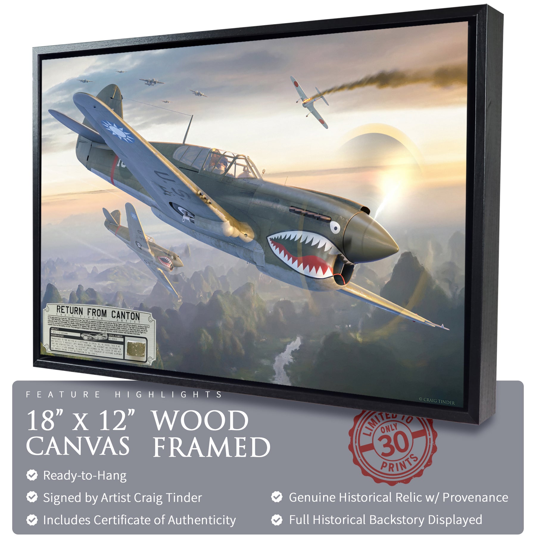 P-40 Warhawk - Return from Canton Canvas | INCLUDES: Skin Fragment