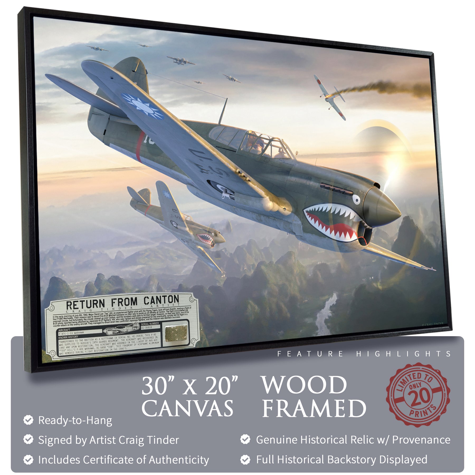 P-40 Warhawk - Return from Canton Canvas | INCLUDES: Skin Fragment