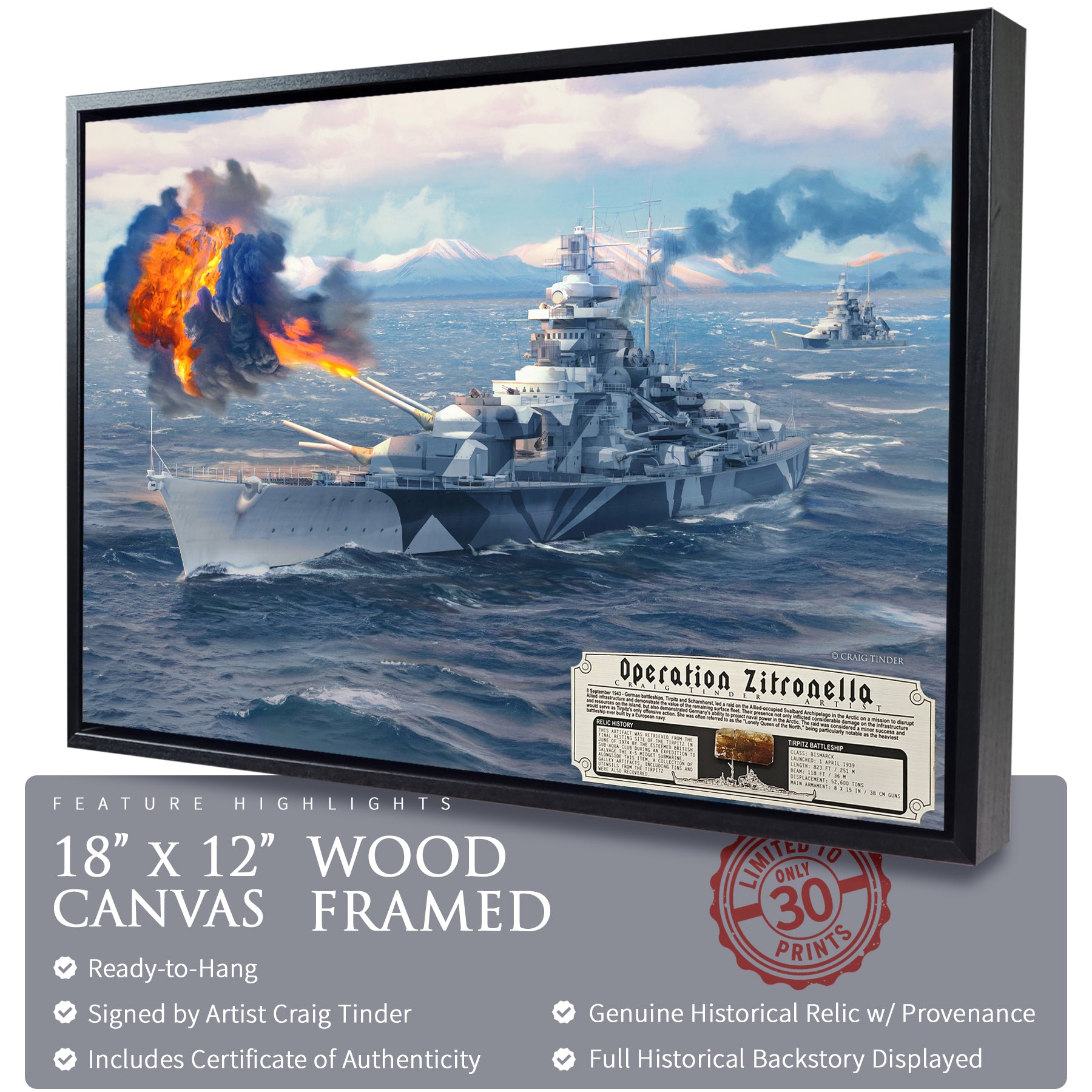Tirpitz Battleship - Operation Zitronella Canvas | INCLUDES: Duct Piece