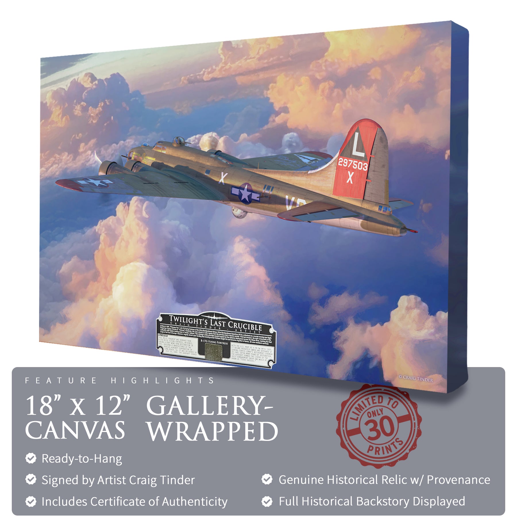 B-17 Flying Fortress - Twilight's Last Crucible Canvas | INCLUDES: Skin Fragment