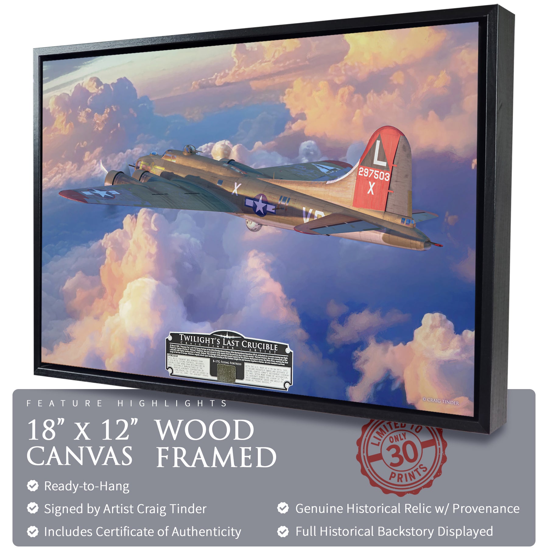 B-17 Flying Fortress - Twilight's Last Crucible Canvas | INCLUDES: Skin Fragment