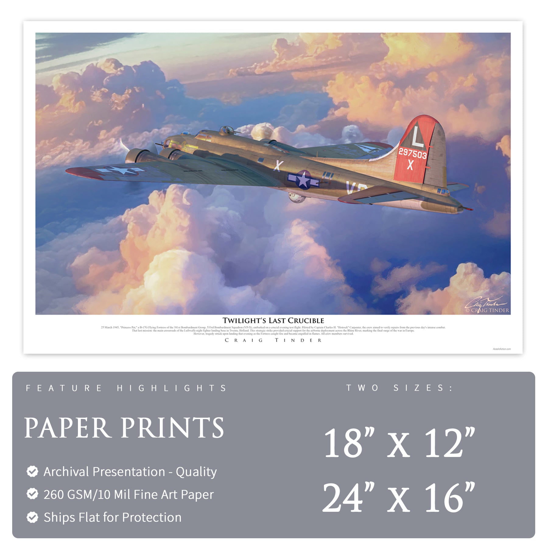 B-17 Flying Fortress - Twilight's Last Crucible Canvas | INCLUDES: Skin Fragment