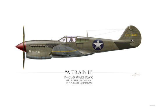 A Train II P-40L-5 Warhawk Tuskegee Red Tails Aviation Art Print - Profile