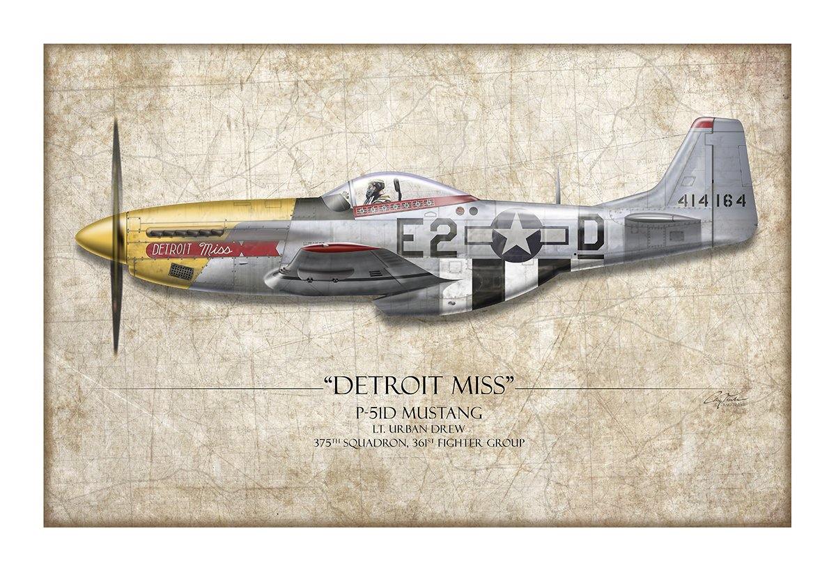 Detroit Miss P-51D Mustang Aviation Art Print - Profile-Art Print-Aces In Action: The Workshop of Artist Craig Tinder