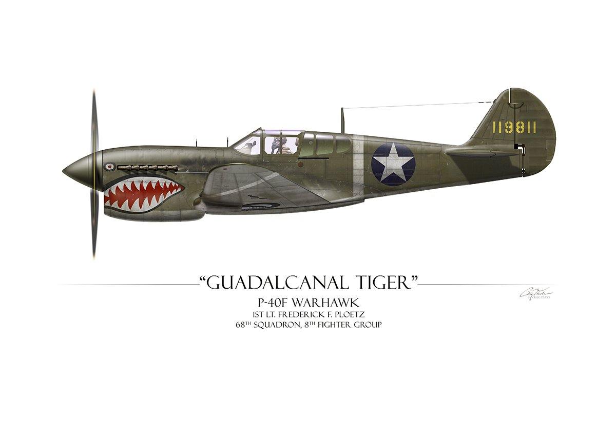 "Guadalcanal Tiger P-40 Warhawk" - Art Print by Craig Tinder
