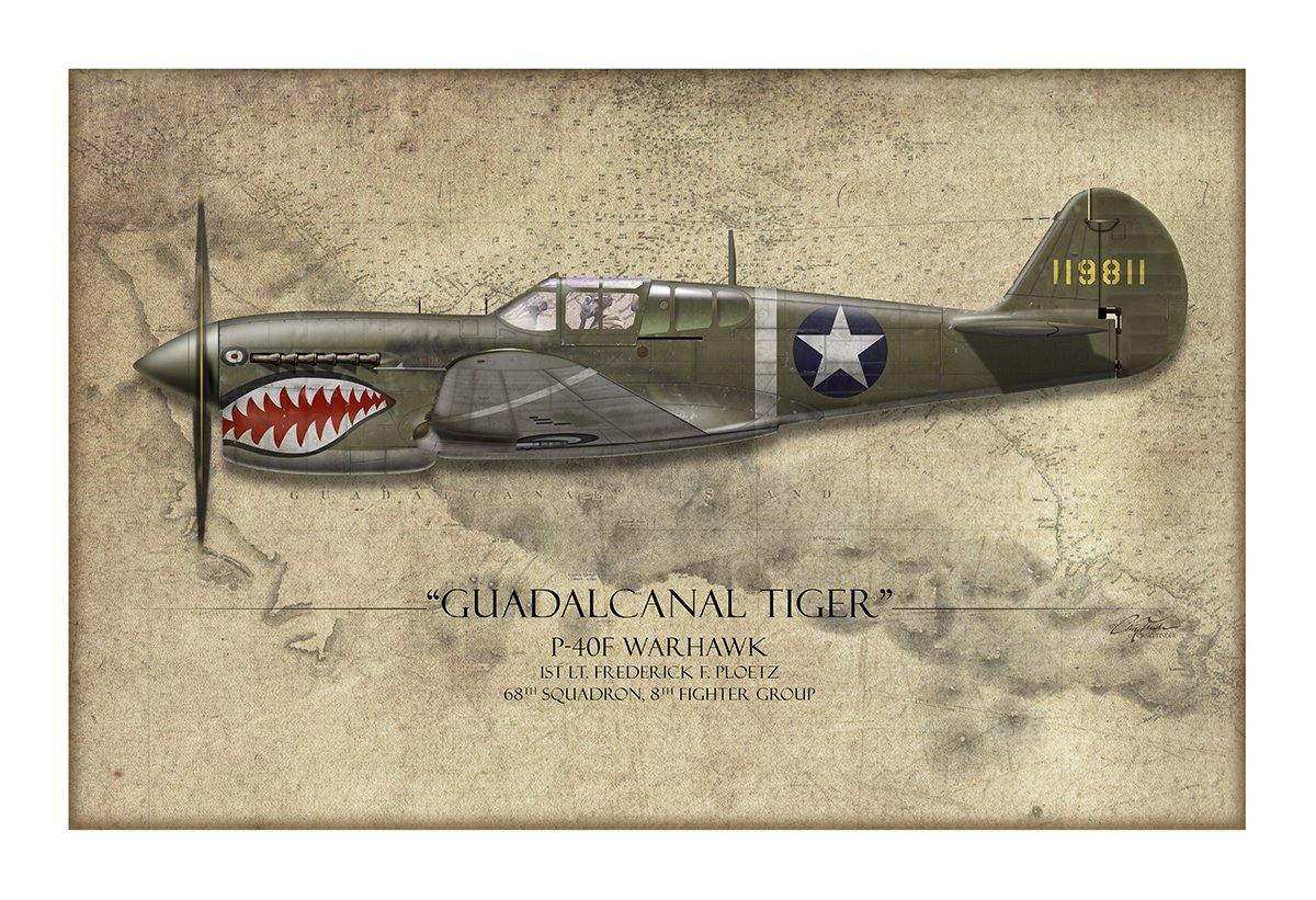 Guadalcanal Tiger P-40 Warhawk Aviation Art Print - Profile-Art Print-Aces In Action: The Workshop of Artist Craig Tinder