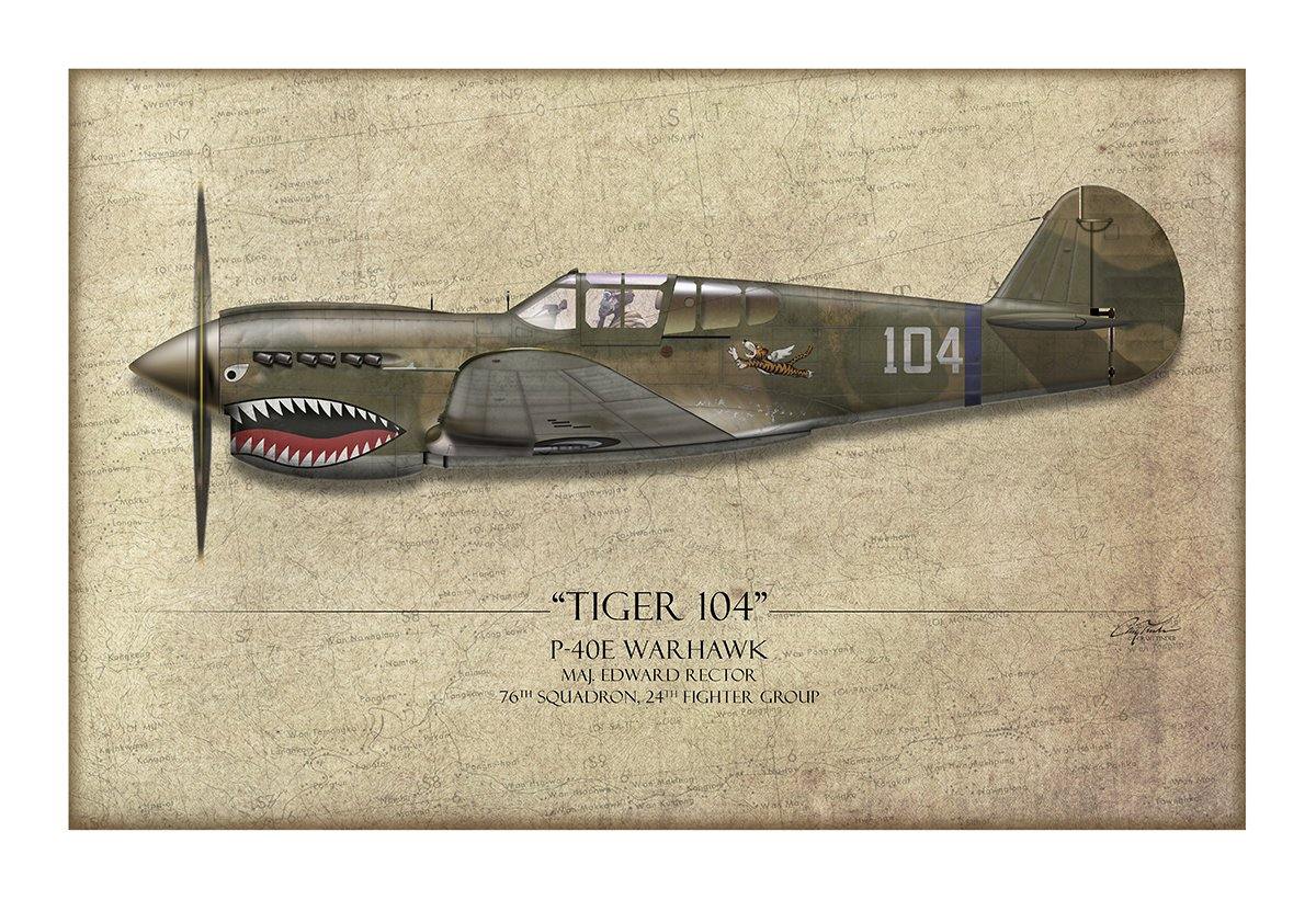 Tiger 104 P-40 Warhawk Aviation Art Print - Profile-Art Print-Aces In Action: The Workshop of Artist Craig Tinder