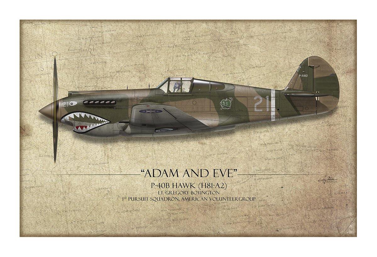 Pappy Boyington P-40 Warhawk Aviation Art Print - Profile-Art Print-Aces In Action: The Workshop of Artist Craig Tinder