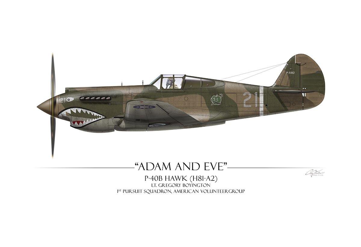 "Pappy Boyington P-40 Warhawk" - Art Print by Craig Tinder - Aces In Action
