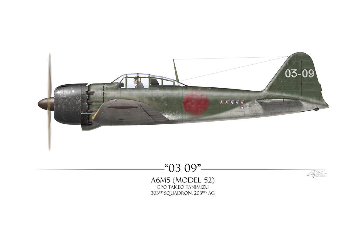 Takeo Tanimizu A6M Zero Aviation Art Print - Profile – Aces In Action ...