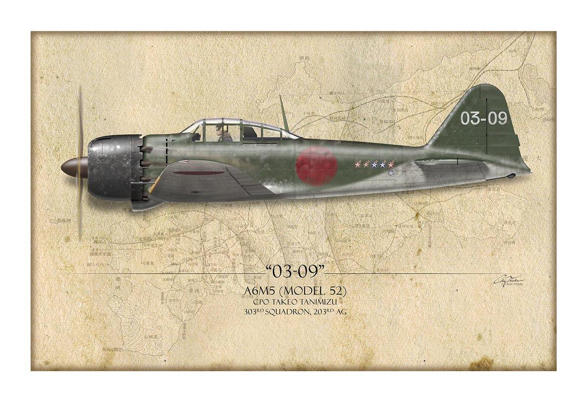 Takeo Tanimizu A6M Zero Aviation Art Print - Profile-Art Print-Aces In Action: The Workshop of Artist Craig Tinder