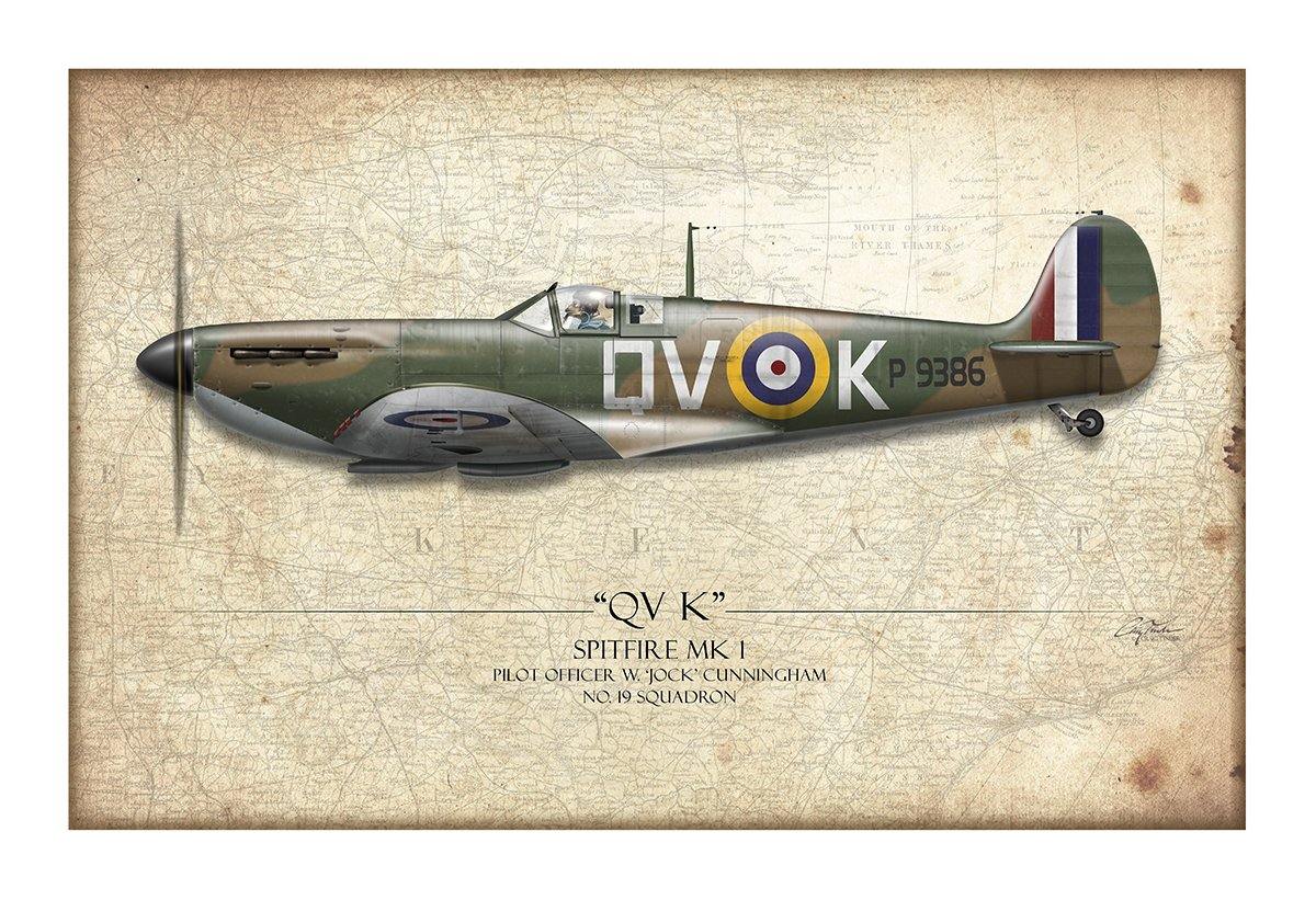 Battle Of Britain QVK Spitfire Aviation Art Print - Profile-Art Print-Aces In Action: The Workshop of Artist Craig Tinder