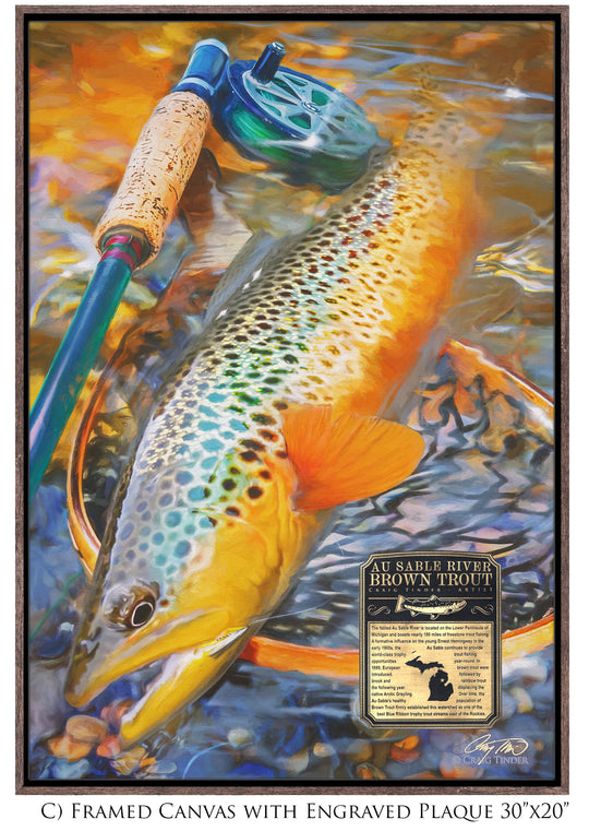 Au Sable River Brown Trout - Framed Canvas Shadowbox Art-Art Print-Aces In Action: The Workshop of Artist Craig Tinder