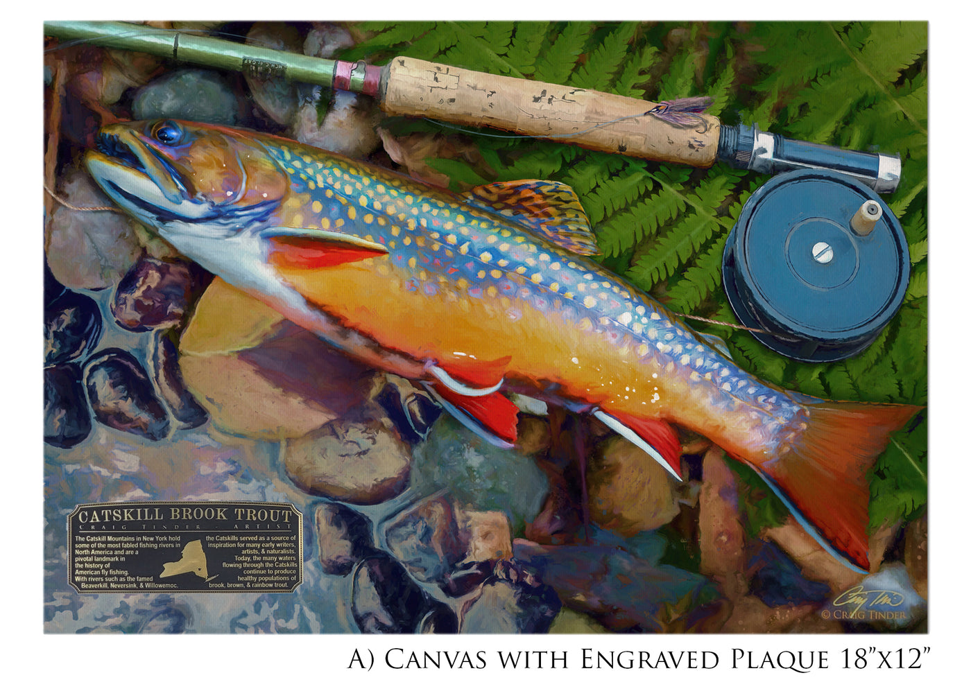 Catskill Brook Trout - Framed Canvas Shadowbox Art-Art Print-Aces In Action: The Workshop of Artist Craig Tinder
