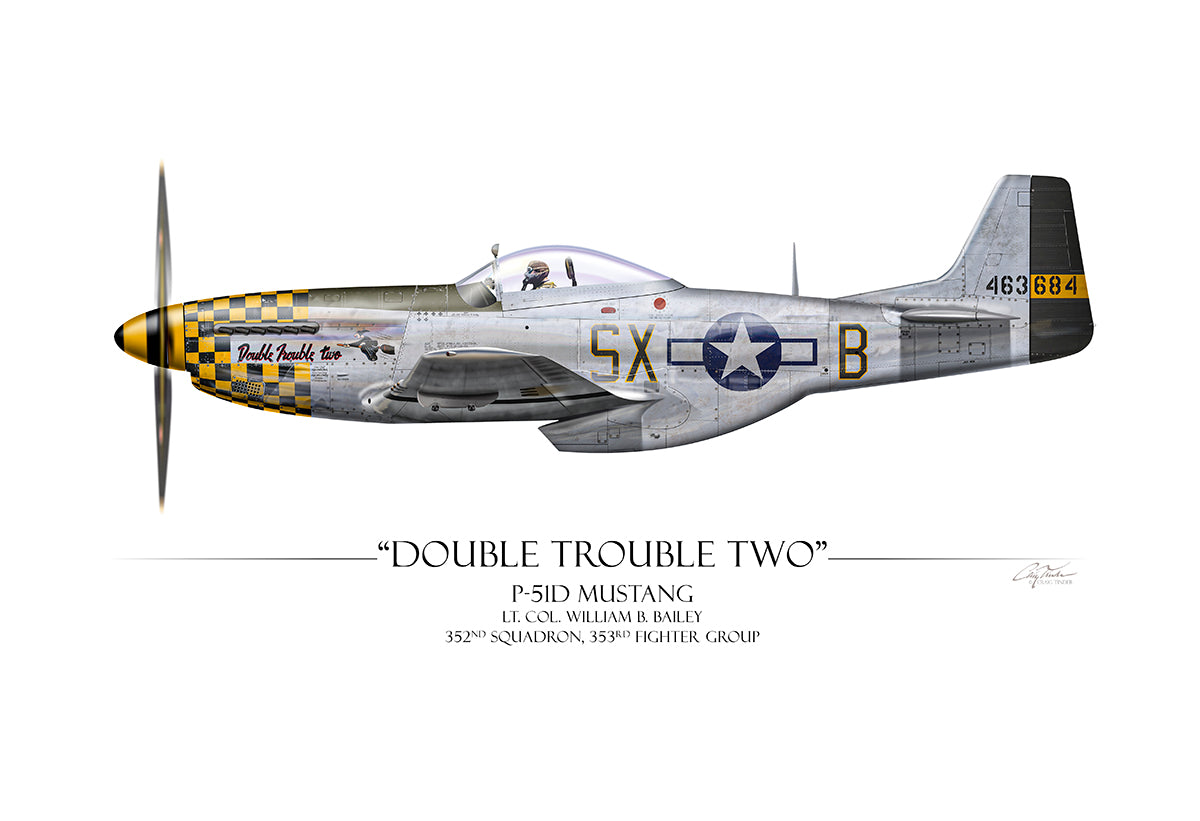 "Double Trouble Two P-51D Mustang" - Art Print by Craig Tinder