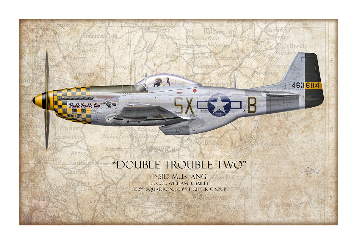 Double Trouble Two P-51D Mustang Aviation Art Print - Profile-Art Print-Aces In Action: The Workshop of Artist Craig Tinder